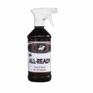 All Ready, 16oz