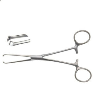 Allis Tissue Forceps, Economy, 6", Each
