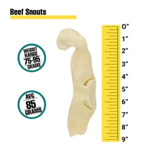 Beef Snout, 1 Count