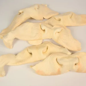 Beef Snouts, 30 Count