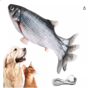 Floppy Fish Toy