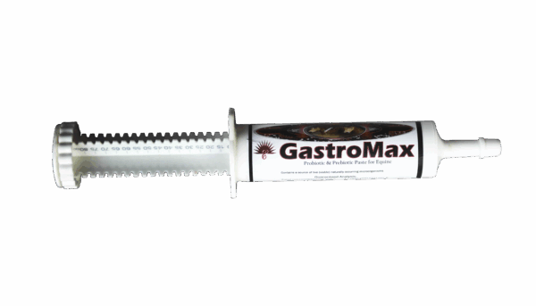 Gastro Max 75gm Tube