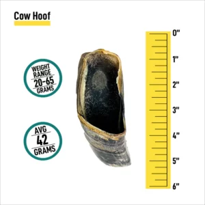 Cow Hoof Treat, 1 Count