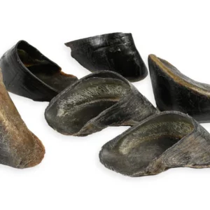 Cow Hooves, 25 Pack