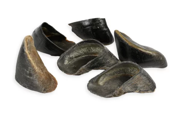 Cow Hooves, 25 Count Bulk Bag
