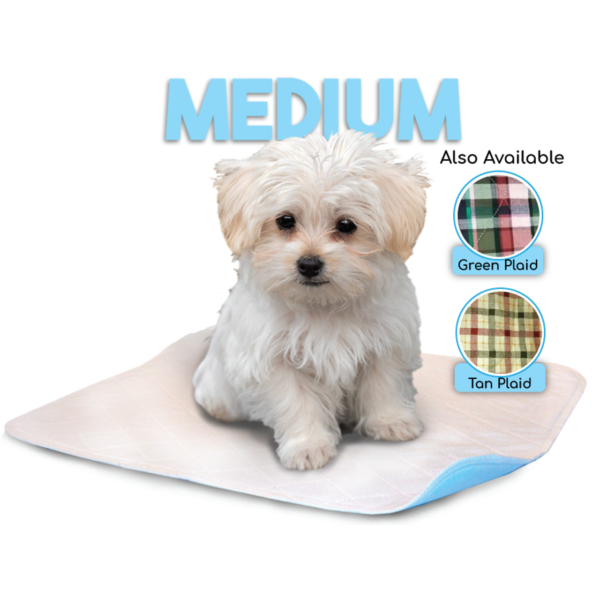 Medium (18"x24")* Washable Lennypad