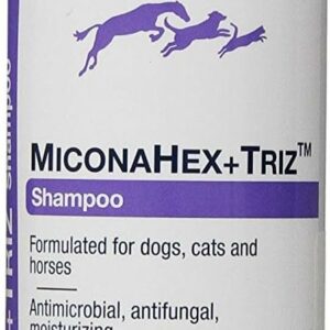 Miconahex + Triz Shampoo, 16oz