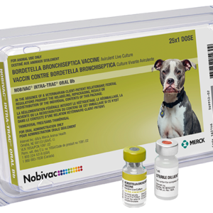 Nobivac Intra-Trac Oral Bb, 25 X 1 Dose