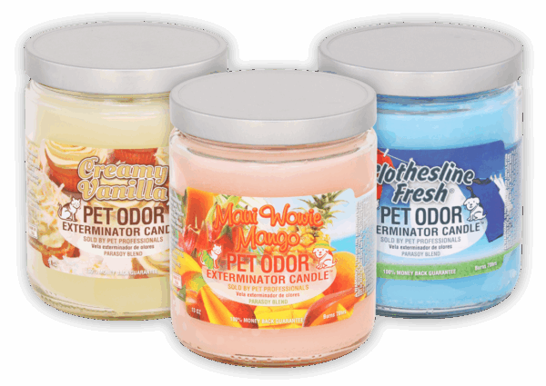 Odor Exterminator Candle, 12oz
