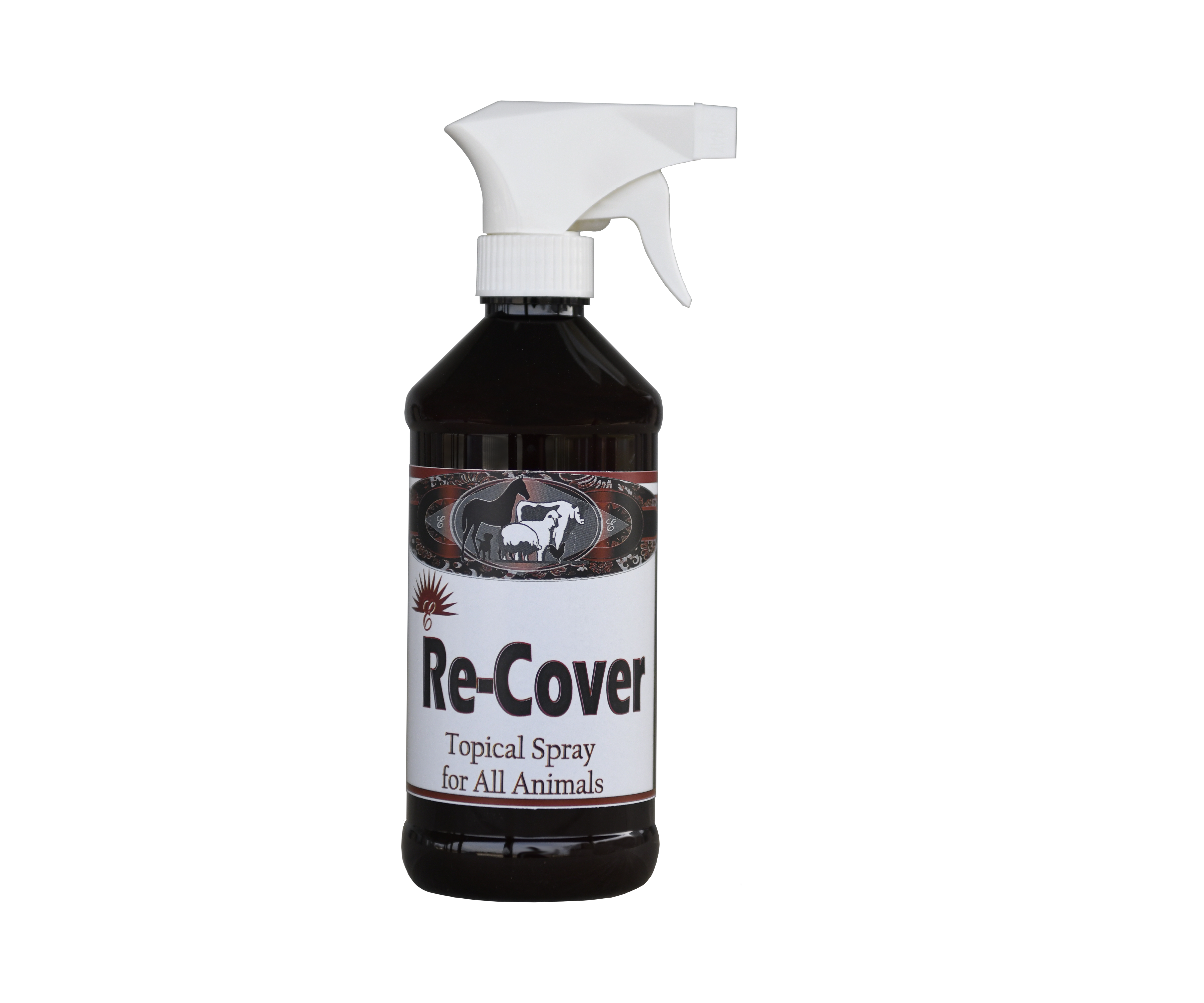Re-Cover, 16oz