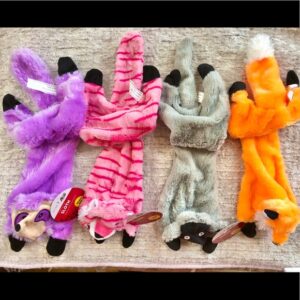 Stuffing Free Squeaky Dog Toy