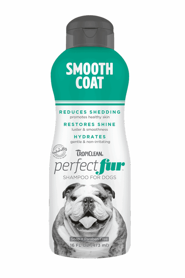 Tropiclean PerfectFur Smooth Coat Shampoo, 16oz
