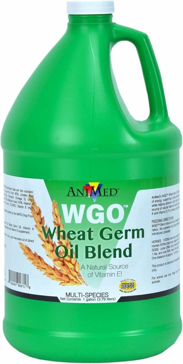 Wheat Germ Oil, Gallon
