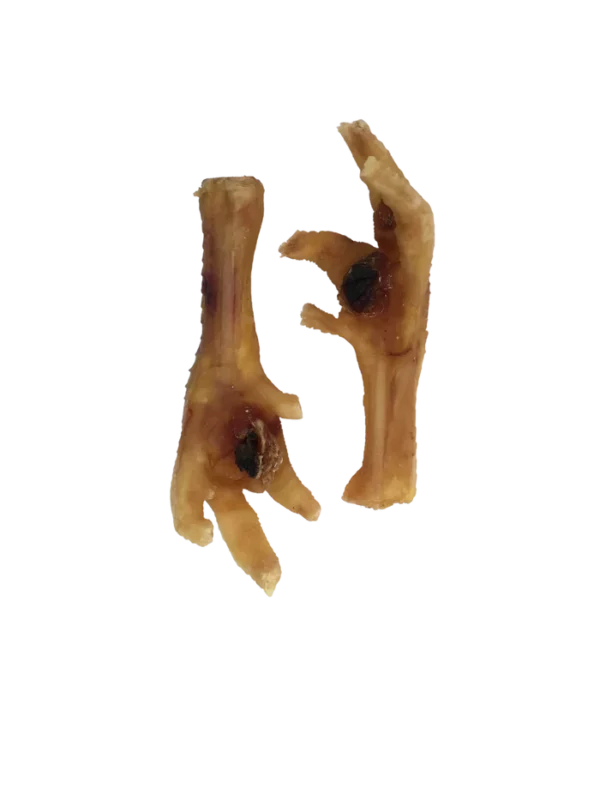 Chicken Feet, 1 Count