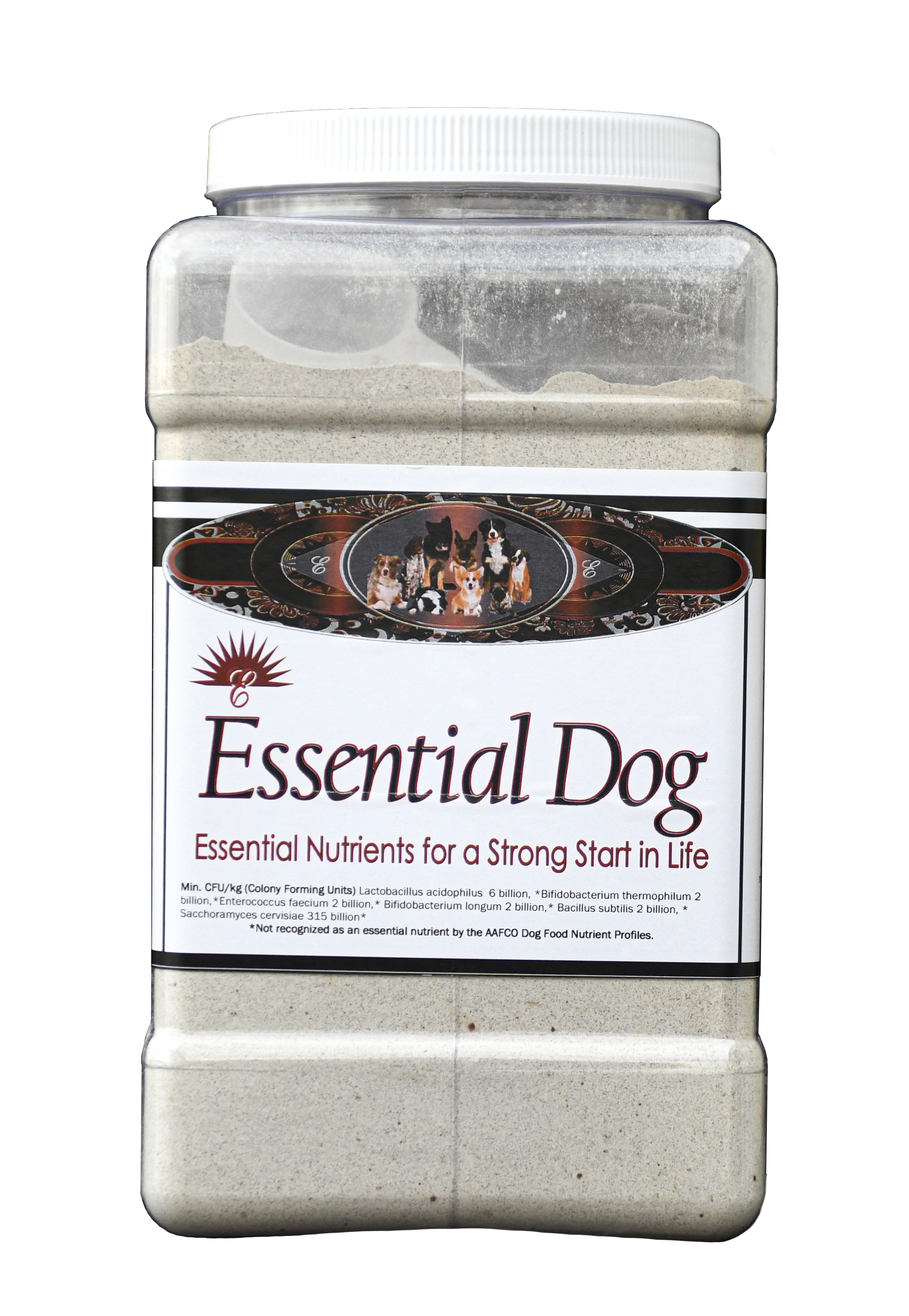Essential Dog, 5Lb